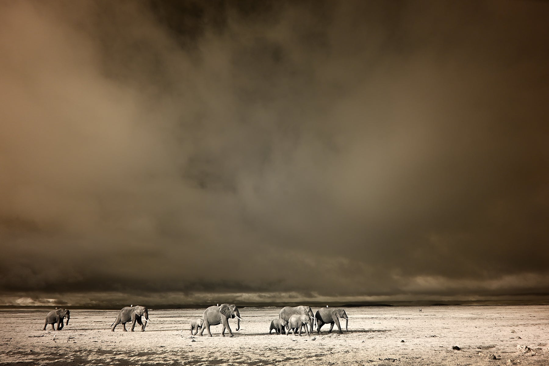 PASSING STORM